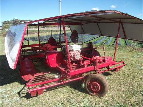 The Super Strawberry - Accommodation Melbourne 2