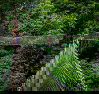 Thunderbird Park  - Tamborine Mountain Gold Coast Region - Accommodation Melbourne