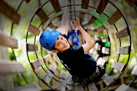 Thunderbird Park ® - Tamborine Mountain, Gold Coast Region - Accommodation Melbourne 1