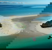 Turtle Discovery - Accommodation Melbourne