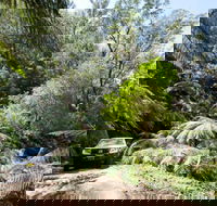 Wadbilliga Road drive - Accommodation Melbourne
