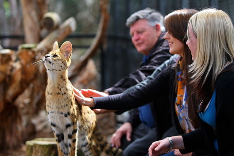 Werribee Open Range Zoo - Accommodation Melbourne 0