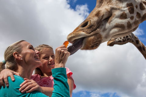Werribee Open Range Zoo - Accommodation Melbourne 2