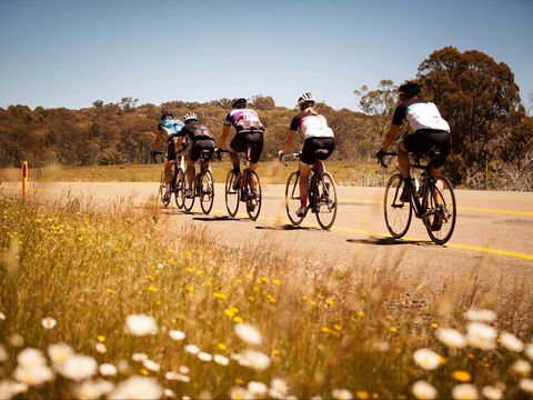 7 Peaks Ride - Dinner Plain - Accommodation Melbourne 0
