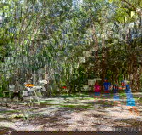 Ballina Disc Golf - Accommodation Melbourne