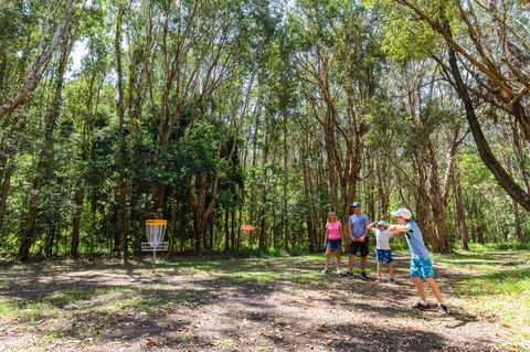 Ballina Disc Golf - Accommodation Melbourne 0