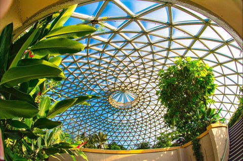 Brisbane Botanic Gardens Mount Coot-tha - Accommodation Melbourne 0