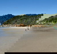 Broken Head Nature Reserve - Accommodation Melbourne