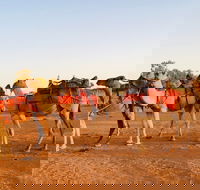 Broken Hill Camels - Accommodation Melbourne