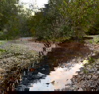 Budawang National Park - Accommodation Melbourne