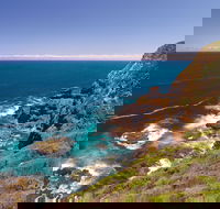 Bushrangers Bay Walking Track - Accommodation Melbourne