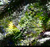 Byrrill Creek Walking Track - Accommodation Melbourne