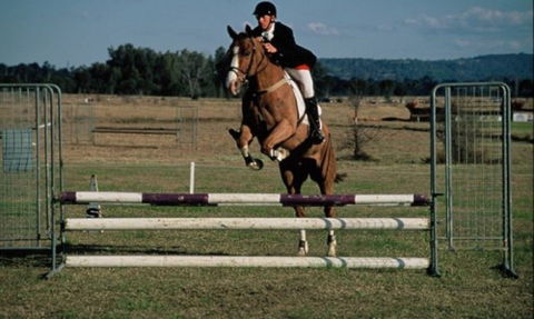 Camden Bicentennial Equestrian Park - Accommodation Melbourne 0