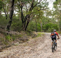 Cawleys Road trail - Accommodation Melbourne