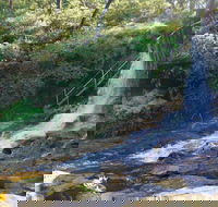 Charles Darwin walk - Accommodation Melbourne