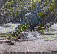 Coolah Tops National Park - Accommodation Melbourne