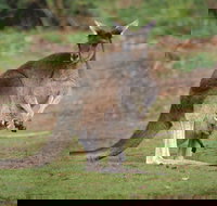 Donnelly River - Accommodation Melbourne