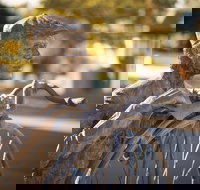 Evandale - Accommodation Melbourne