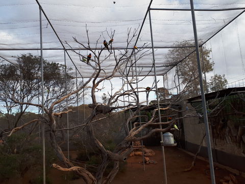 Eyre Reptile & Wildlife Park - Accommodation Melbourne 2