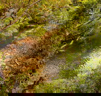 Girrakool loop track - Accommodation Melbourne