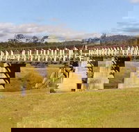 Historic Tabulam DeBurgh Timber Bridge - Accommodation Melbourne