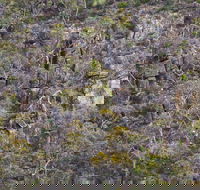 Horsnell Gully and Giles Conservation Parks - Melbourne 4u