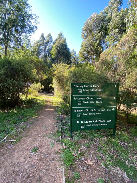 Jehosaphat Gully Picnic Area - Accommodation Melbourne 2