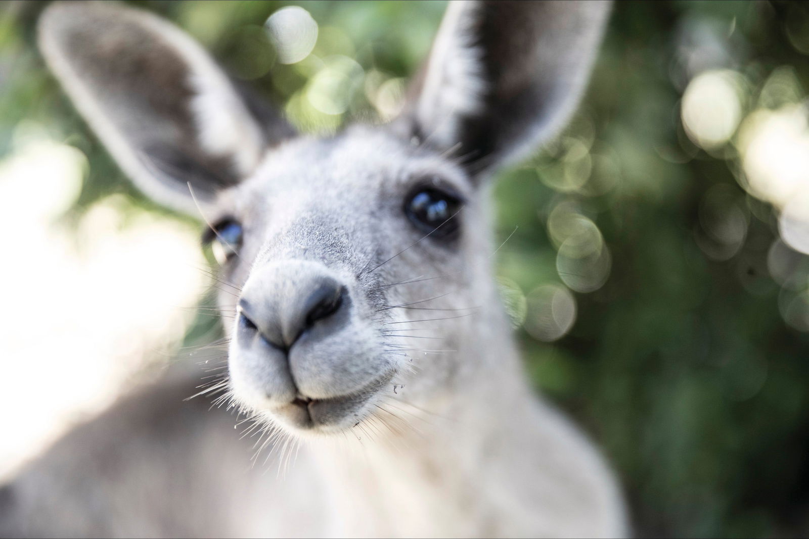 Maneroo QLD Accommodation Melbourne