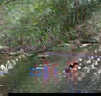 Kerewong State Forest - Accommodation Melbourne