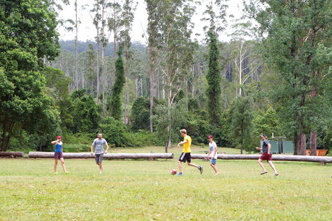 Kerewong State Forest - Accommodation Melbourne 1