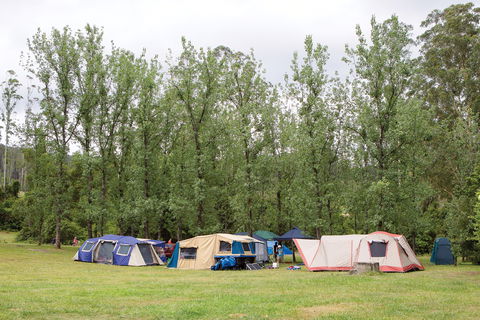 Kerewong State Forest - Accommodation Melbourne 2