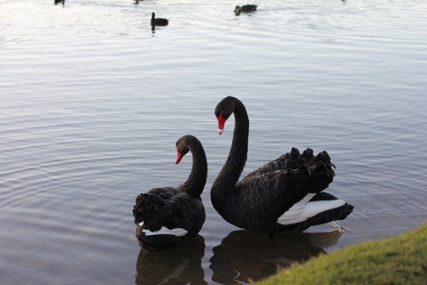 Lake Weeroona - Accommodation Melbourne 1