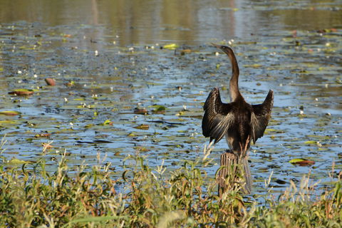 Lake Apex Park - Accommodation Melbourne 0