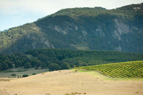 Langi Ghiran State Park - Accommodation Melbourne 0