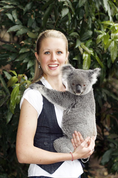 Lone Pine Koala Sanctuary - Accommodation Melbourne 1