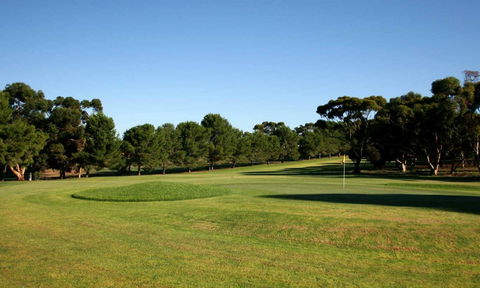 Mannum Golf Club - Accommodation Melbourne 0