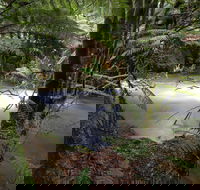 Marriotts Falls and Junee Caves - Accommodation Melbourne