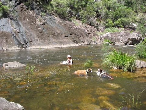 Mount Boss State Forest - Accommodation Melbourne 0