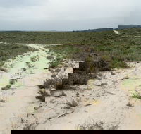 Ngarkat Conservation Park - Accommodation Melbourne