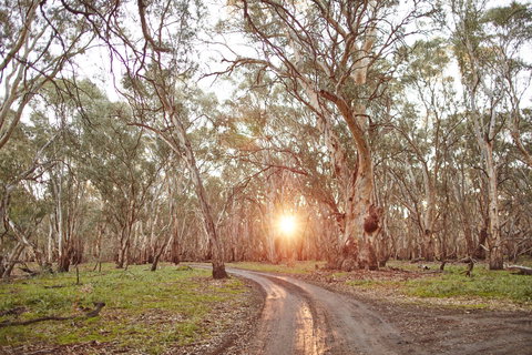 Nyah Vinifera Park - Accommodation Melbourne 1
