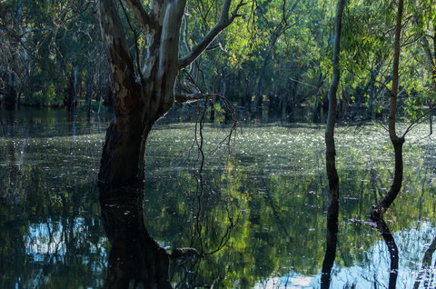 Nyah Vinifera Park - Accommodation Melbourne 2