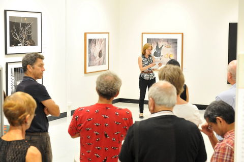 Pine Rivers Art Gallery - Accommodation Melbourne 1