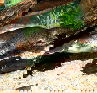 Platypus House - Accommodation Melbourne