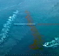 Port Noarlunga Reef Sanctuary Zone - Encounter Marine Park - Accommodation Melbourne