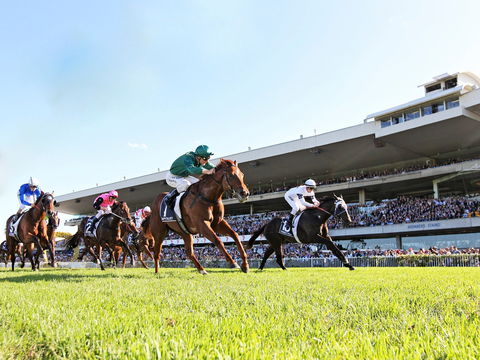 Rosehill Gardens Racecourse - Accommodation Melbourne 0