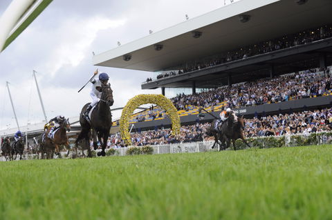 Rosehill Gardens Racecourse - Accommodation Melbourne 1