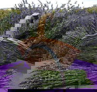Rustique Lavender Farm - Accommodation Melbourne