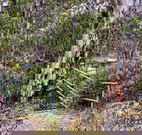 Sawpit Walking Track - Accommodation Melbourne