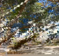 Spring Gully Conservation Park - Accommodation Melbourne