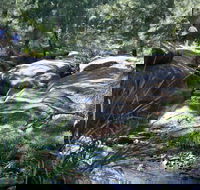 Towarri National Park - Accommodation Melbourne